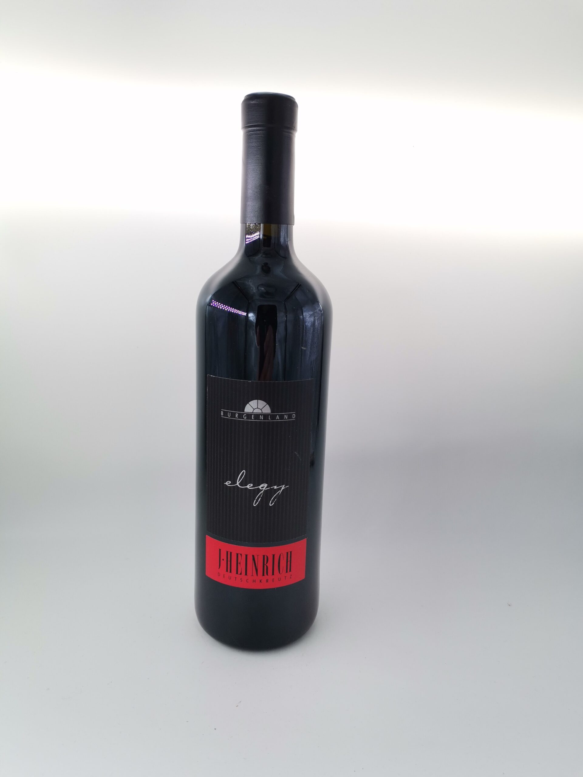 Heinrich J. (Silvia) Elegy 2000
