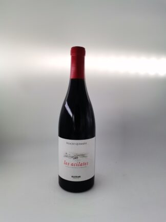 Palacio Quemado Los Acilates  2019